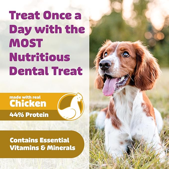 Yummy Combs Dog Dental Treats – Vet VOHC Approved – Delicious Chicken Protein – Removes Tartar with Cleaning Comb Shape – Dental Dog Treats for Extra Large Dogs (24oz, 12 Count)