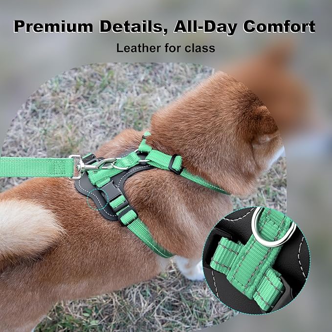 Plutus Pet Adjustable No Pull Dog Harness with Leather Accents, Heavy Duty Reflective Nylon Vest for Training, Hiking, Easy Walk Harness for Small, Medium, Large Dogs (Teal, M)