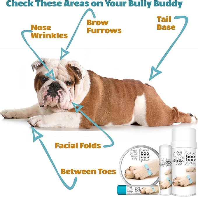 The Blissful Dog Boo Boo Butter for Your Dog's Discomforts, 0.50-Ounce