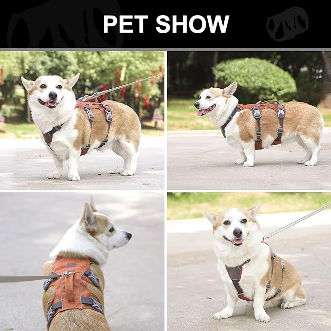 Escape Proof Dog Harness Medium Sized Dog, Reflective No Pull Dog Vest with Handle, Lightweight Full Body Pet Harness Adjustable for Walking,Training(Blue,Chest:17-32")