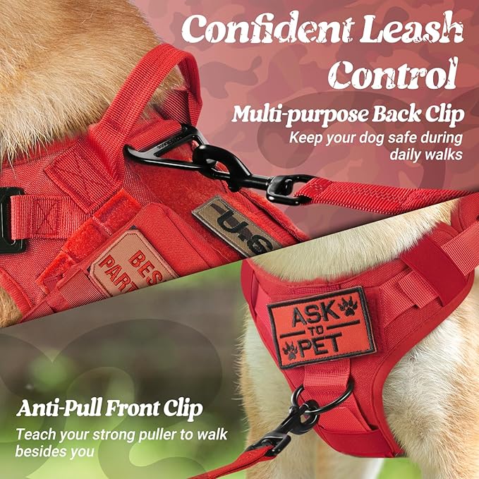 rabbitgoo Tactical Dog Harness for Small, Heavy Duty Pet Harness with Handle, No-Pull Service Vest Small Breed, Adjustable Military Dog Vest for Training Hunting Walking, Red, S