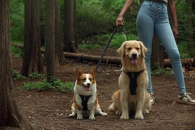 Dog Harness, No Pull Dogs Harness and Multi-Function Leash Set for Medium Dogs Easy Walk Everyday Adjustable Soft Dog Vest Harness Fashionable Dog Accessories Black-Button-Slim Large
