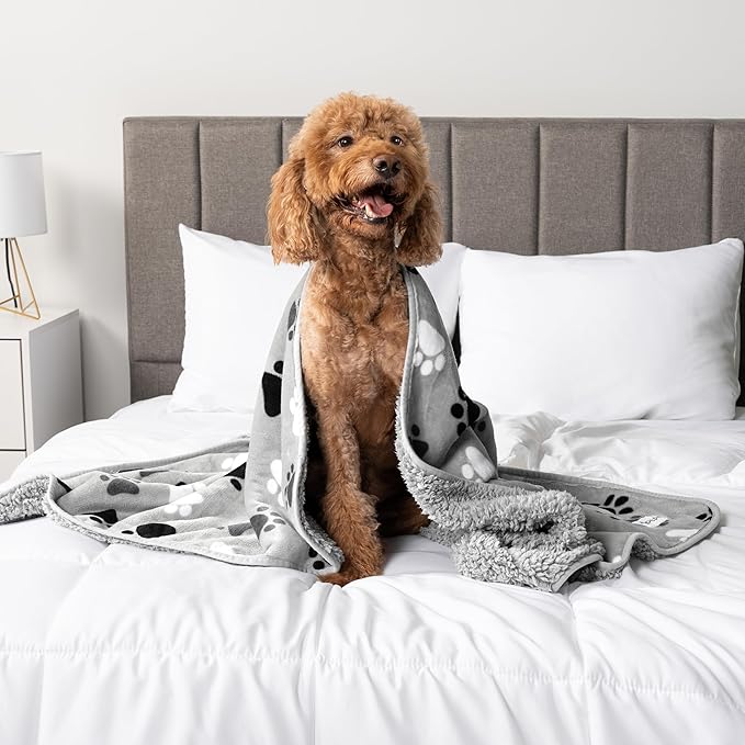PetAmi Waterproof Dog Blanket for Medium Large Dogs, Pee Proof for Couch Bed, Reversible for Puppy Indoor Cat, Soft Fleece Washable, 40x60 Paw Gray