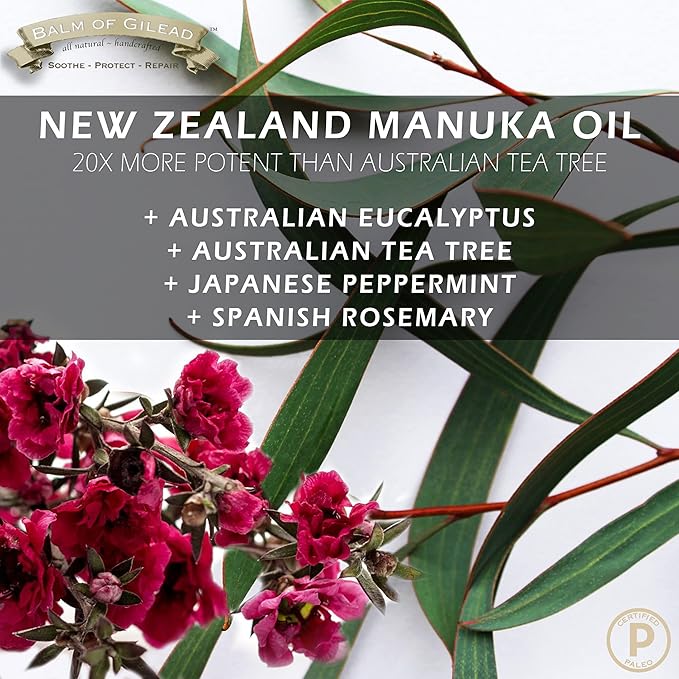 BALM OF GILEAD Tea Tree Balm - 2 fl oz Foot Cream with Tea Tree and Manuka Oil - Intensive Moisture for Itchy Feet, Eczema, Rashes & Dry Skin - Pure Balm That Softens Skin Irritations