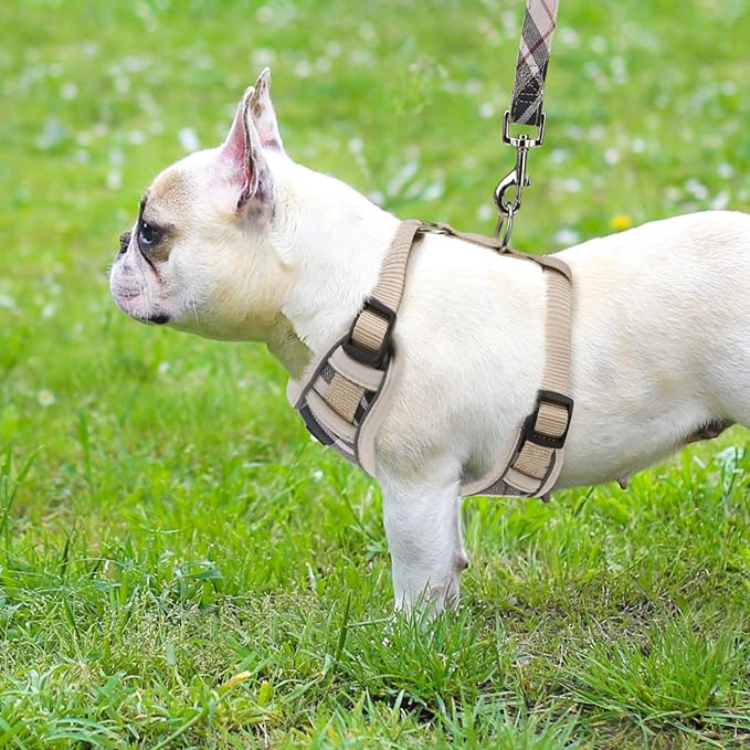 PUPTECK Small Dog Harness and Leash Set, No Pull Adjustable Puppy Cat Harness, Reflective Soft Mesh Pet Vest Small Sized
