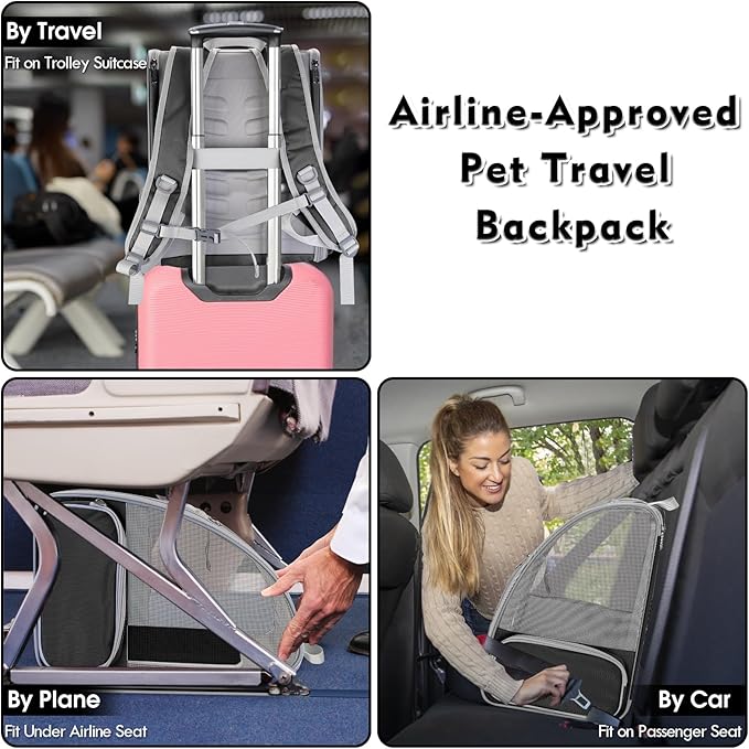 Cat Backpack Carrier, Pet Carrier Backpack with Kitten Wand Feather Toy for Medium Small Dog Cat Puppy Kitty Bunny up to 15lbs, Large Ventilated Mesh Cat Bookbag for Travel Walking Outdoor Use (Black)