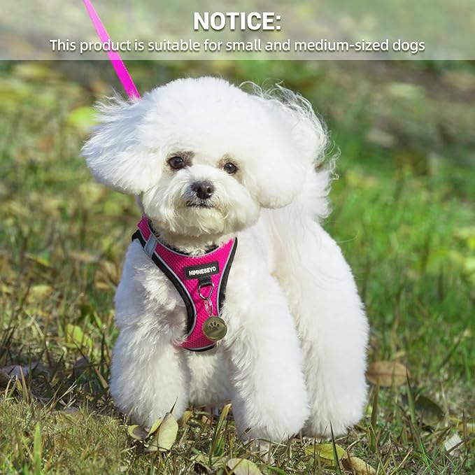 Dog Harness and Leash Set, Dog Harness for Dogs No Pull, No-Chock Step-in Reflective Breathable Lightweight Easy Walk Vest Harnesses with Safety Buckle for Small Medium Dogs, Cats (Rose red, XL)