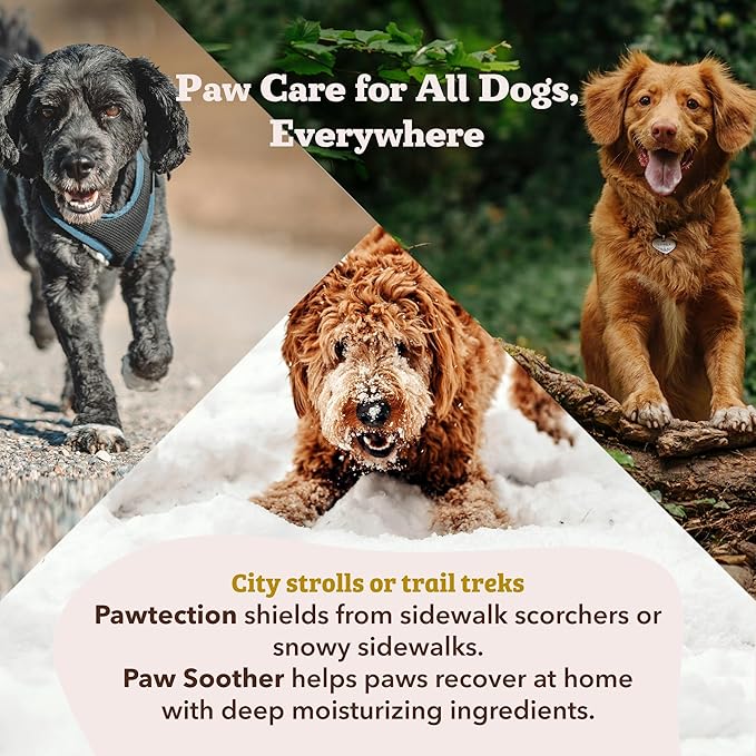 Natural Dog Company Paw Soother Balm & Wax 1 oz Tin – Restorative Paw Repair with Coconut Oil, Vitamin E & Calendula – Heals Dry, Cracked Paws, Lick-Safe, Protects from Extreme Weather