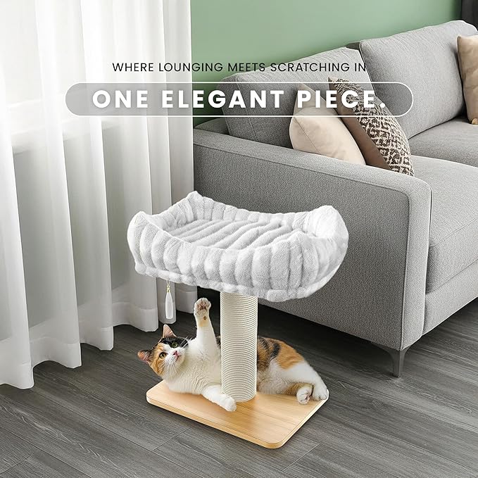 Modern Scratching Post for Indoor Cats - 15” High Cat Scratching Post with Bed Breeds - 15.7” x 11.6” Removable & Washable Cushion (Natural Wood Post with White Bed)