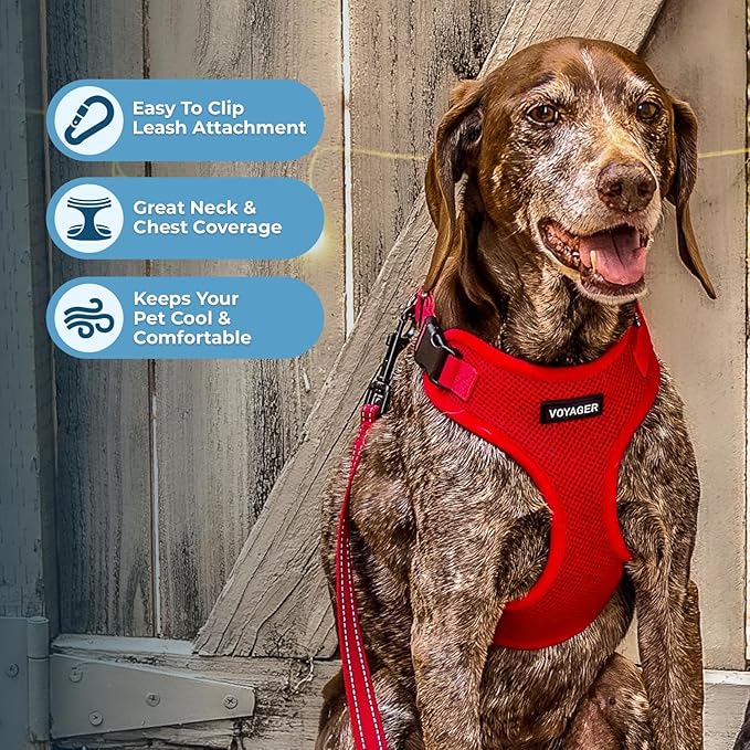Voyager Step-in Pet Harness - All Weather Mesh, Adjustable Step in Harness for Cats and Dogs by Best Pet Supplies - Red, L
