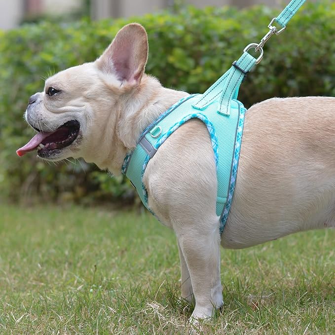 Mercano Soft Mesh Dog Harness and Leash Set, No-Chock Step-in Reflective Breathable Lightweight Easy Walk Vest Harnesses with Safety Buckle for Small Dogs, Cats (Light Green, XXS)