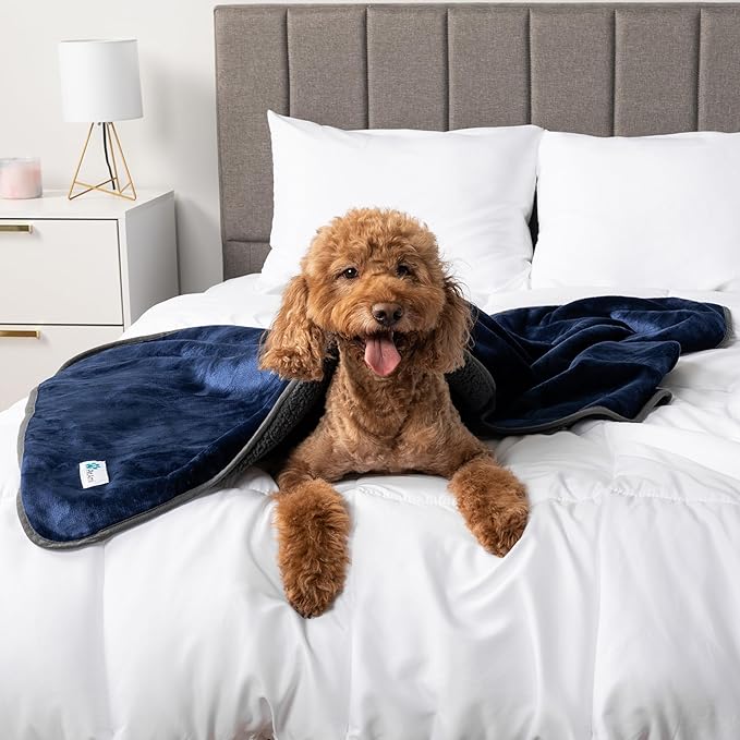 PetAmi Waterproof Dog Blanket for Medium Large Dogs, Pee Proof for Couch Bed, Reversible, Soft Fleece, Washable, 40x60 Navy/Gray