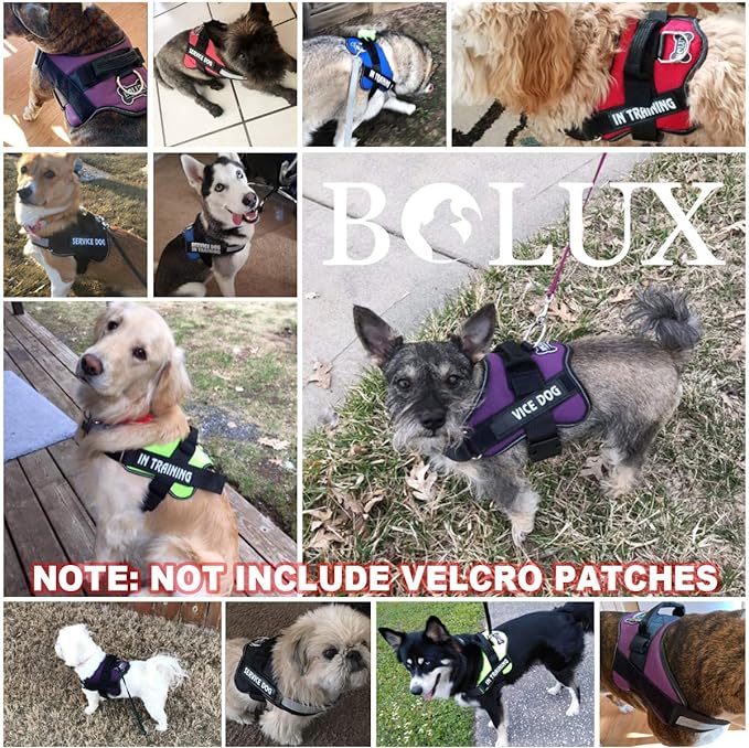 Bolux Dog Harness, No-Pull Reflective Dog Vest, Breathable Adjustable Pet Harness with Handle for Outdoor Walking - No More Pulling, Tugging or Choking (Blue, M)