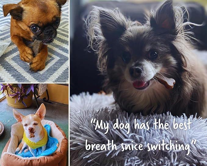 Earthbones Dental Chews for Dogs 3-10lbs, 30 Bones