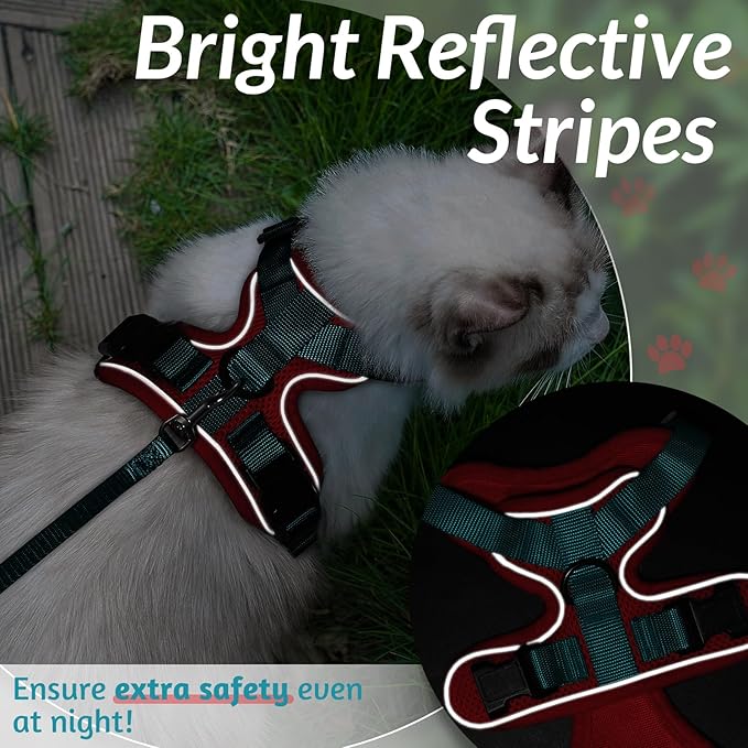 rabbitgoo Cat Harness and Leash for Walking, Escape Proof Soft Adjustable Vest Harnesses for Cats, Easy Control Breathable Reflective Strips Jacket, Red & Teal, M