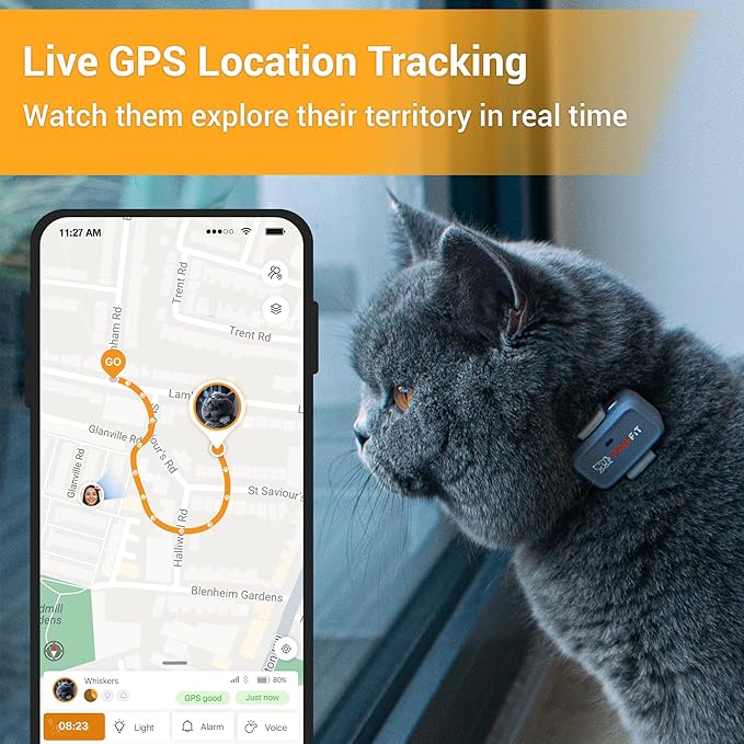Lite for Cats 4g GPS Tracker | Real Time Tracking | Activity Monitoring |Location History | Unlimited Range | Safety Collar Included | Lilac Grey