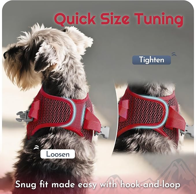 Eagloo Small Dog Harness and Leash Set, Step in Puppy Vest with Breathable Soft Mesh, Walking Reflective Pet Harness for Extra Small Dogs, Red, XXS