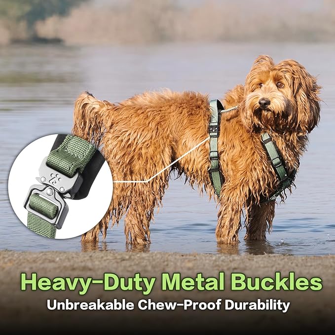 PawsPassion Dog Harness for Small Dogs, No Pull Dog Harness Easy Walk with Metal Hardware, Ergonomic Y-Shaped Design, Soft Padding, Padded Handle, Durable High-Tensile Nylon (Evergreen, S)