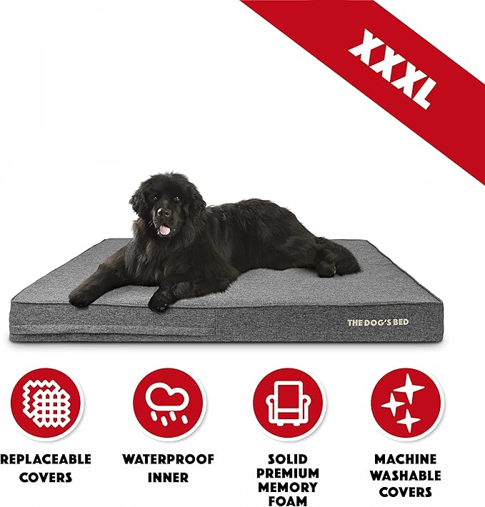 The Dog’s Bed Orthopedic Memory Foam Dog Bed, XXXL Grey Linen, Pain Relief for Arthritis, Hip & Elbow Dysplasia, Post Surgery, Lameness, Supportive, Calming, Waterproof Washable Cover