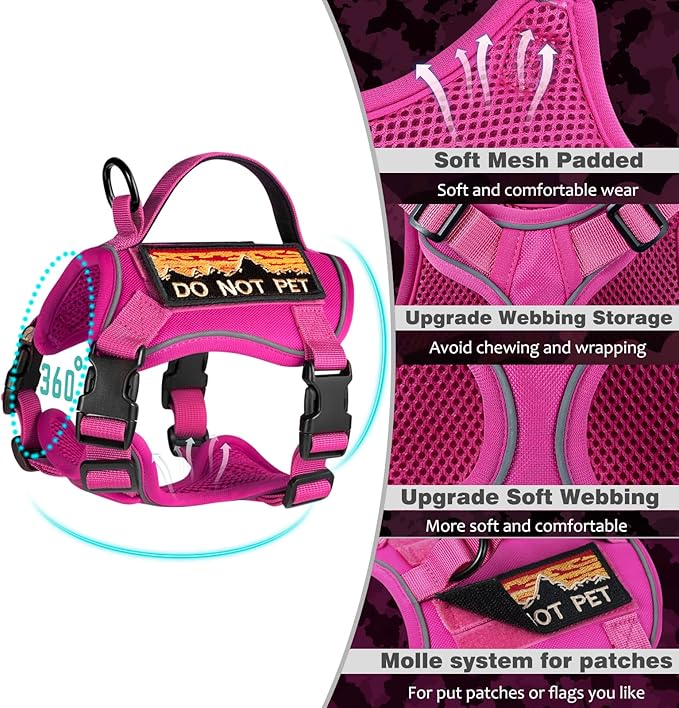 Tactical Cat Harness for Walking, Adjustable Escape Proof Pet Vest for Large Cat,Easy Control Breathable Cat Vest with Handle,Molle Patches (Pink+Leash, L)