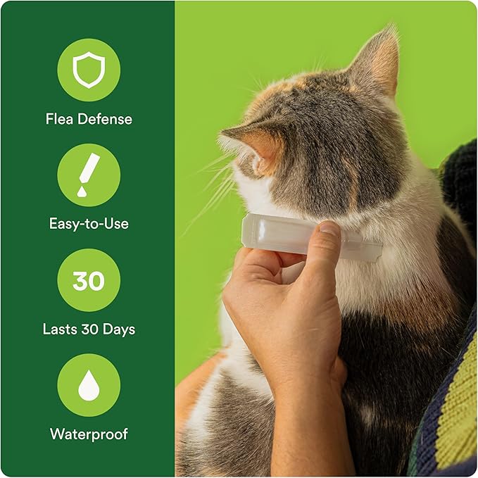 Advecta Plus Topical Flea Treatment for Cats and Kittens, Flea Prevention and Control, Small & Large, Fast-Acting Waterproof Drops, 6-Month Supply