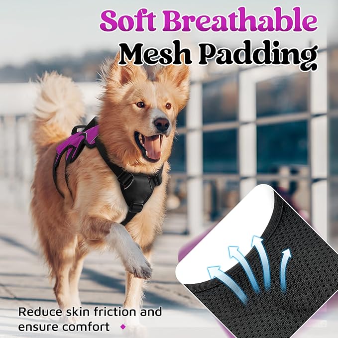rabbitgoo Escape Proof Dog Harness, Soft Padded Full Body Pet Harness, Reflective Adjustable No Pull Vest with Lift Handle and Leash Clip for Large Dogs Walking Hiking Training, M, Purple