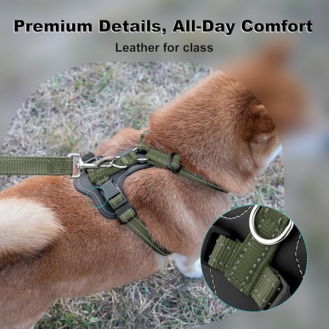 Plutus Pet Adjustable No Pull Dog Harness with Leather Accents, Heavy Duty Reflective Nylon Vest for Training, Hiking, Easy Walk Harness for Small, Medium, Large Dogs (Ranger Green, XL)