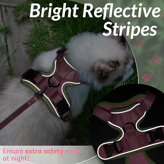 rabbitgoo Cat Harness and Leash for Walking, Escape Proof Soft Adjustable Vest Harnesses for Cats, Easy Control Breathable Reflective Strips Jacket, Green&Pink, S