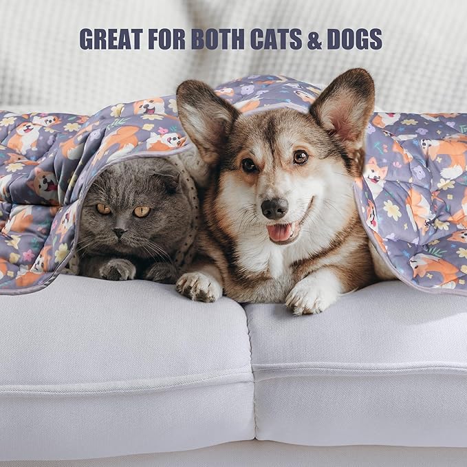 Leekalos Pet Cooling Mat: Dog & Cat Summer Blanket - Portable & Reusable, Keeps Pets Cool Indoors & Outdoors