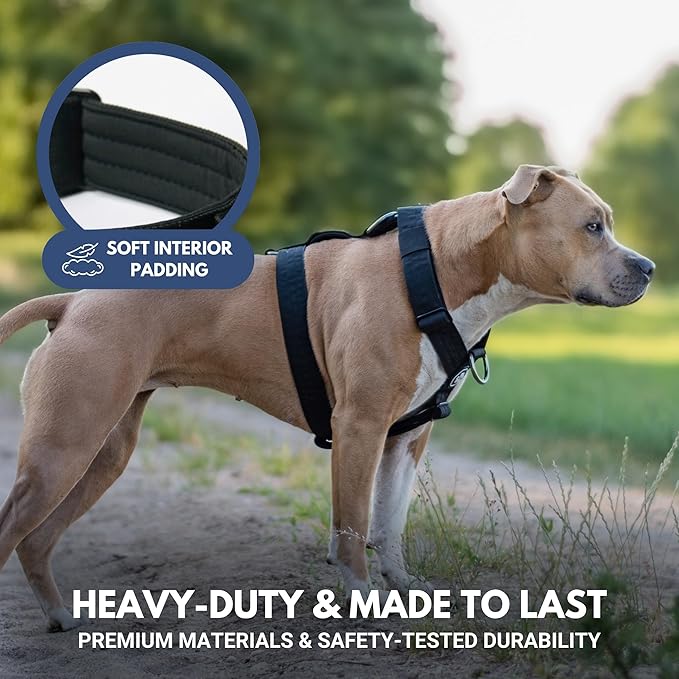 Spark Paws No Pull Dog Harness for Large Dogs, Heavy Duty Dog Harness for Big Strong Breeds, Adjustable, Y Shaped Padded Halter Design with Front Clip - Black - M