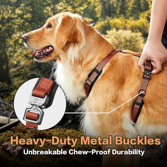 PawsPassion Dog Harness for Large Dogs, No Pull Dog Harness Easy Walk with Metal Hardware, Ergonomic Y-Shaped Design, Soft Padding, Padded Handle, Durable High-Tensile Nylon (Canyon Red, L)
