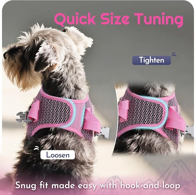 Eagloo Small Dog Harness and Leash Set, Step in Puppy Vest with Breathable Soft Mesh, Walking Reflective Pet Harness for Extra Small Dogs, Pink, XXS