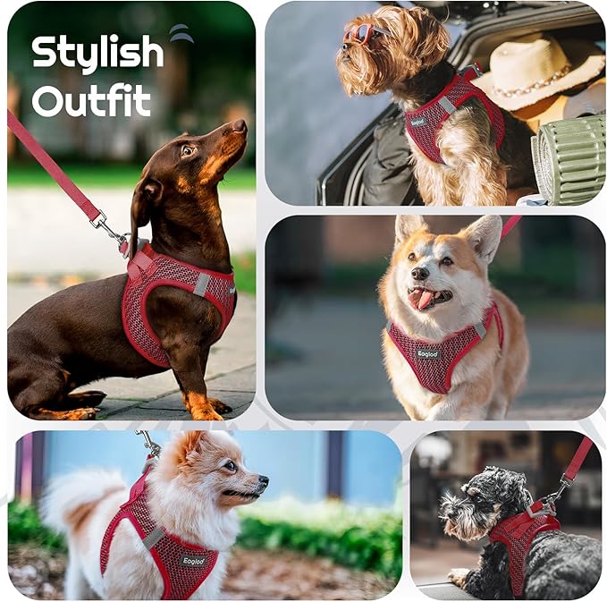 Eagloo Small Dog Harness and Leash Set, Step in Puppy Vest with Breathable Soft Mesh, Walking Reflective Pet Harness for Extra Small Dogs, Red, XXS