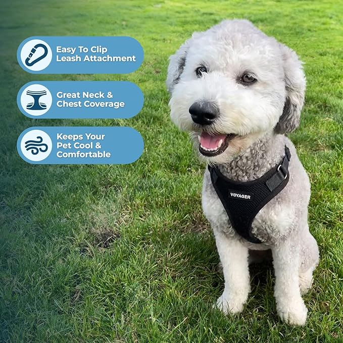Voyager Step-in Pet Harness - All Weather Mesh, Adjustable Step in Harness for Cats and Dogs by Best Pet Supplies - Black, L