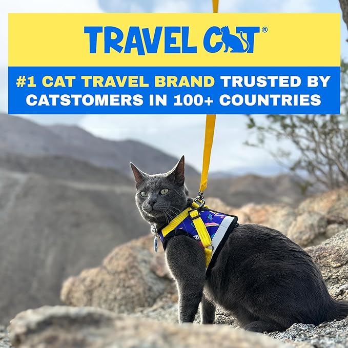 Travel Cat Harness and Leash Set - Adjustable Fit Harness and Reflective Strap - Comfort Walking Vest for Kitten for Outdoor Walking, Hiking (Small, 90s Cat)