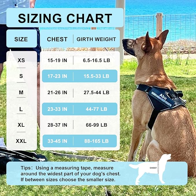 Custom No Pull Dog Harness with Name and Phone Number, Reflective Heavy Duty Personalized Pet Vest, Breathable Adjustable Harness to Prevent Tugging, Pulling or Choking