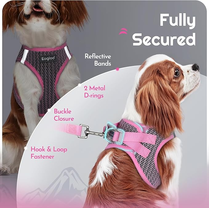 Eagloo Small Dog Harness and Leash Set, Step in Puppy Vest with Breathable Soft Mesh, Walking Reflective Pet Harness for Extra Small Dogs, Pink, XXS