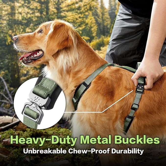PawsPassion Dog Harness for Large Dogs, No Pull Dog Harness Easy Walk with Metal Hardware, Ergonomic Y-Shaped Design, Soft Padding, Padded Handle, Durable High-Tensile Nylon (Evergreen, L)