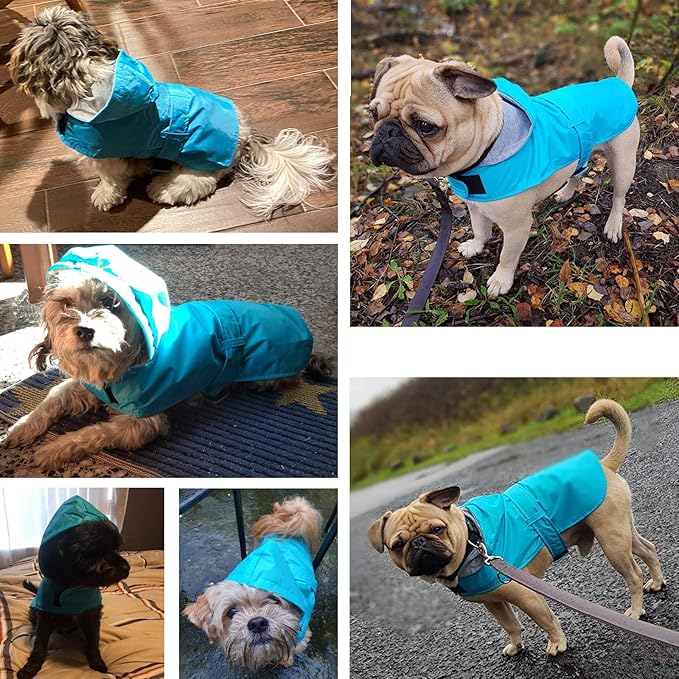 LeerKing Raincoat for Dogs - Hooded with Leash Hole, Waterproof Double Layer Coat Jacket with Lining, 10 Sizes for Small Medium and Large Dogs,Blue,XXL