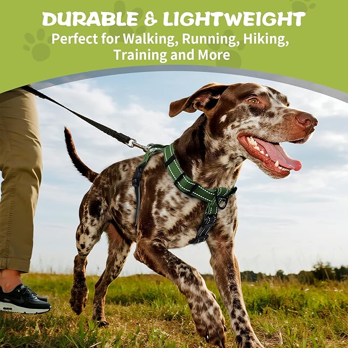 No-Pull Harness,Y-Shaped Design,Buckle-Neck Balance Harness with Reflective Stitching, Ideal for Dog Training and Night Walking, Padded Handle, Durable High-Tensile Nylon-Green-L