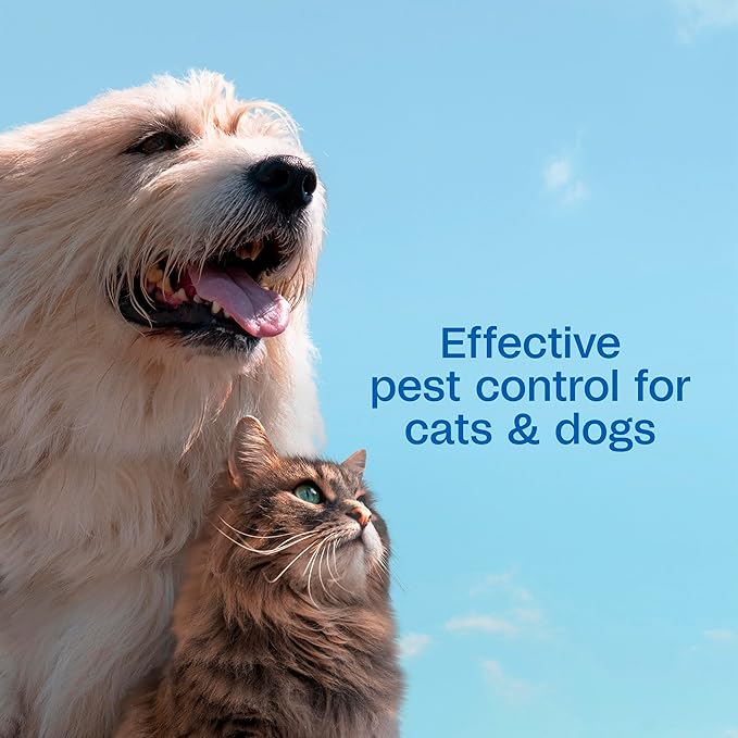 ADAMS Plus Flea & Tick Shampoo with Precor IGR for Cats, Kittens, Dogs & Puppies Over 12 Weeks Of Age, Sensitive Skin Flea Treatment, Kills Adult Fleas, Flea Eggs, Ticks, and Lice, 6 Ounces