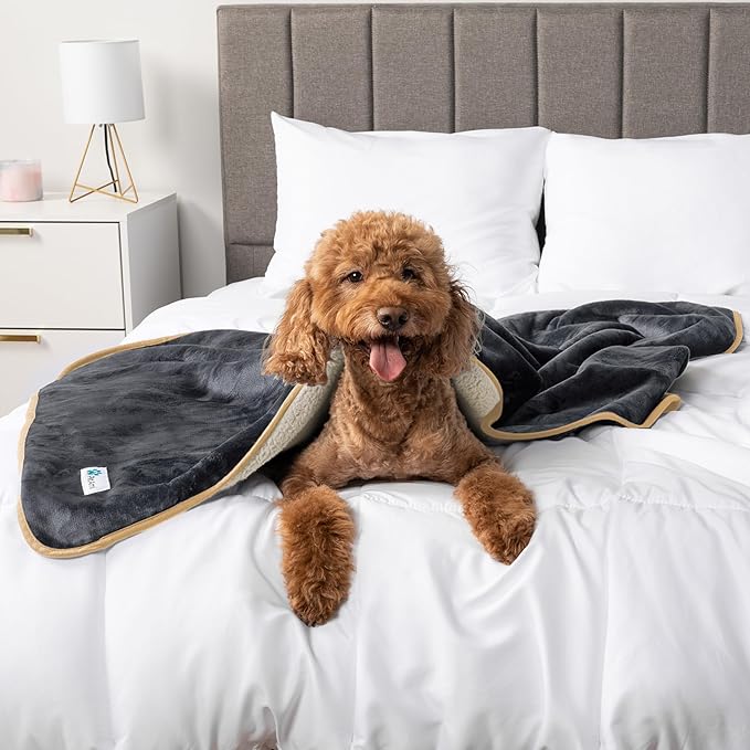 PetAmi Waterproof Dog Blanket for Small Medium Dogs, Pee Proof Pet Blanket for Couch Bed, Reversible Water Proof Blanket for Puppy Indoor Cat, Soft Dog Fleece Blankets Washable, 29x40 Gray/Beige