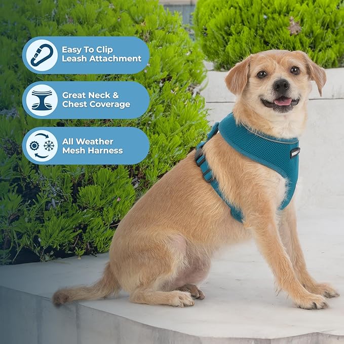 Best Pet Supplies Voyager Aerolite No Pull Mesh Dog Harness, Reflective Stitching, Breathable Harness, Adjustable for Walking, Training, Running, Heavy Duty and Durable, Turquoise, L