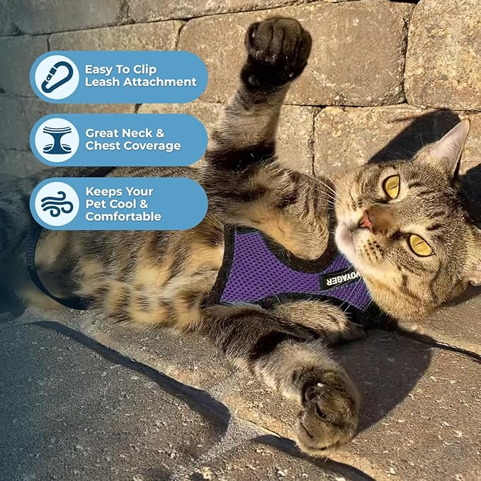 Voyager Step-in Lock Adjustable Cat Harness w. Cat Leash Combo Set with Neoprene Handle 5ft - Supports Small, Medium and Large Breed Cats by Best Pet Supplies - Purple/Black Trim, XXS