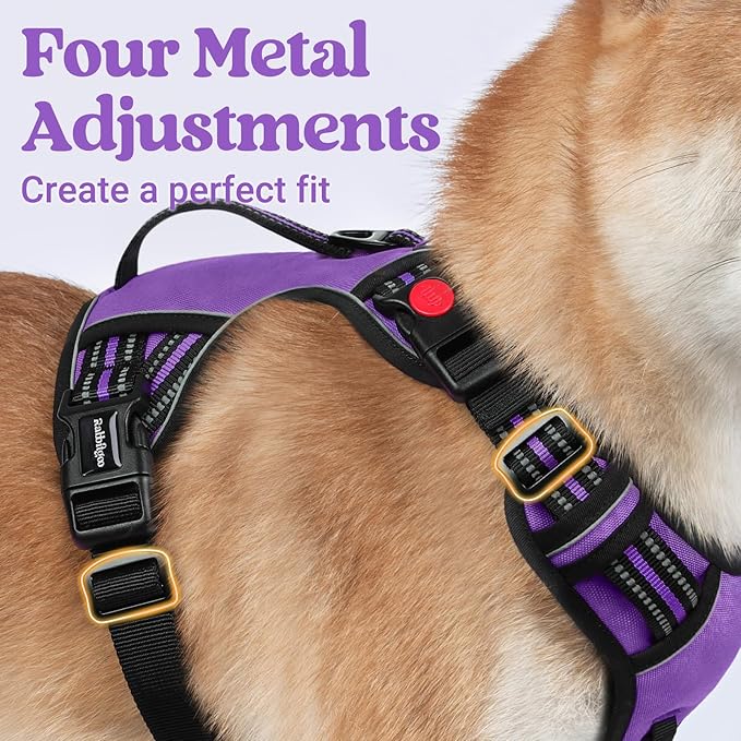 rabbitgoo Dog Harness Small Sized Dog, No Pull Pet Harness with Soft Padded Handle, Adjustable Reflective Vest with 3 Buckles, Easy Walking Harness with 2 Leash Clips, Purple, S