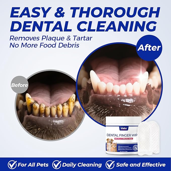 Wellix 100 Count Dog Teeth Cleaning Wipes for Dogs & Cats - Natural Formula Dental Care Finger Wipes Reduces Dog Plaque, Tartar & Bad Breath - No-Rinse Disposable Dog Dental Wipes