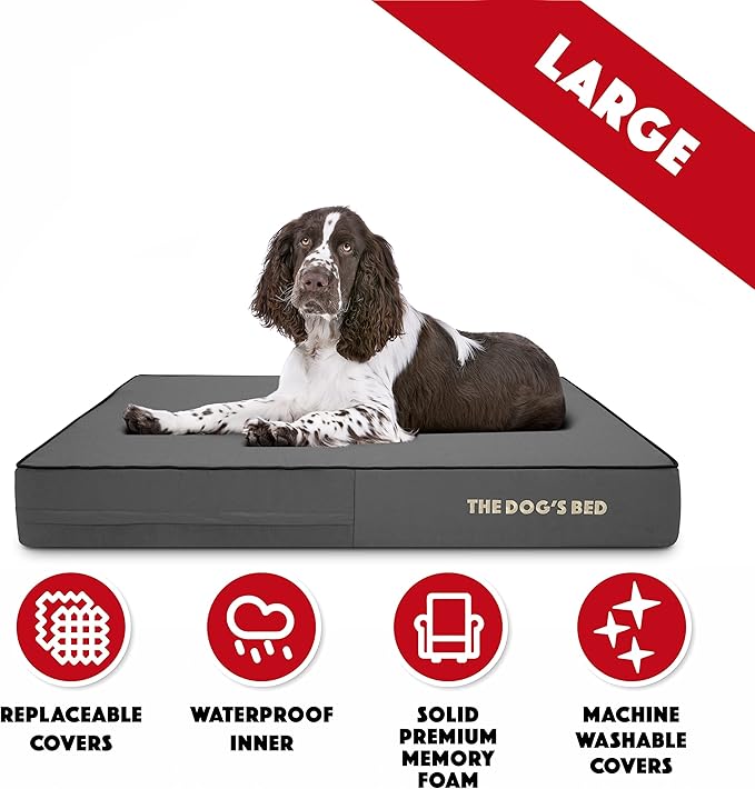 The Dog’s Bed Orthopedic Memory Foam Dog Bed, Large Grey & Black 40x25, Waterproof, Supportive Dog Bed with Replaceable Covers, Veterinary Approved