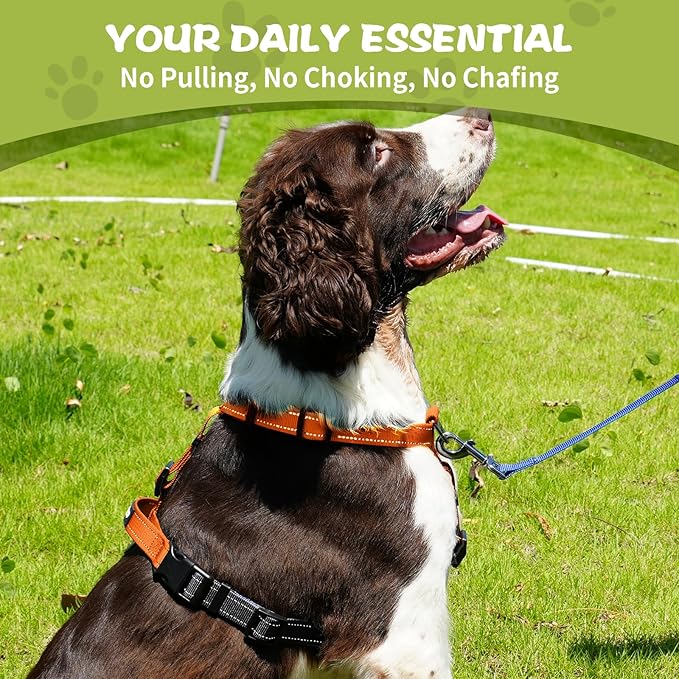 No-Pull Harness,Y-Shaped Design,Buckle-Neck Balance Harness with Reflective Stitching, Ideal for Dog Training and Night Walking, Padded Handle, Durable High-Tensile Nylon-Orange-S