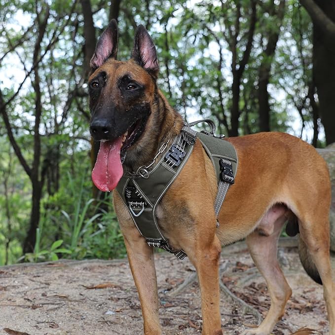 ICEFANG GN8 Tactical Dog Harness with 4X Metal Buckles for X-Large Sized Dogs,Reflective in Training Walking K9 Dog Vest,No-Pull Front Leash Clip,Adjustable Pet Harness (Green, X-Large (Pack of 1))