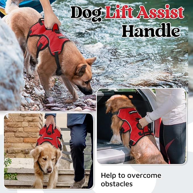 rabbitgoo Escape Proof Dog Harness, Soft Padded Full Body Pet Harness, Reflective Adjustable No Pull Vest with Lift Handle and Leash Clip for Large Dogs Walking Hiking Training, M, Red